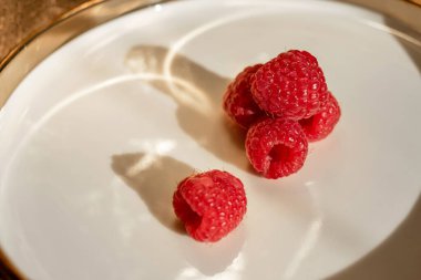 Raspberries and the reflection of light in a dish with a golden border. Light pattern on the plate