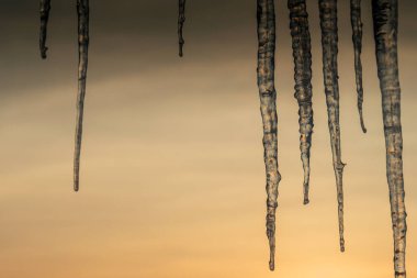 Beautiful long icicles hanging from the roof against the backdrop of a golden sunset