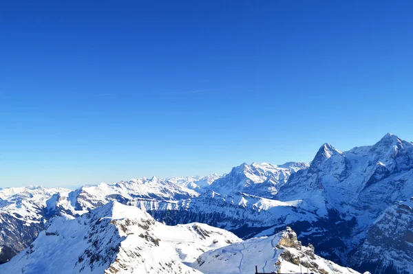 Schilthorn Eiger Monch Jungfrau山 瑞士阿尔卑斯山的雪峰 — 图库照片
