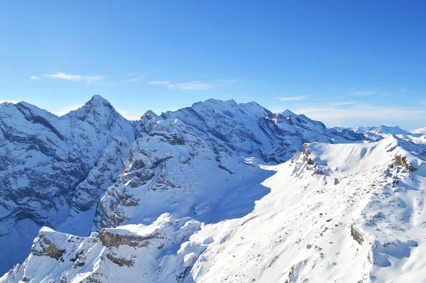 Mountain Schilthorn Eiger Monch Jungfrau Ελβετία Χιονισμένες Βουνοκορφές Των Άλπεων — Φωτογραφία Αρχείου
