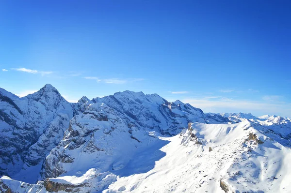 Mountain Schilthorn Eiger Monch Jungfrau Schweiz Snöiga Bergstoppar Alperna Stockbild