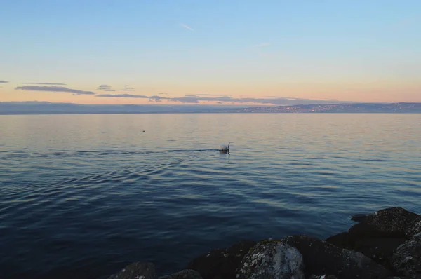 Gölde Gün Batımı Sakin Yüzeyi Gün Batımında Cenevre Gölü Evian — Stok fotoğraf