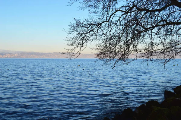 Puesta Sol Lago Superficie Agua Tranquila Lago Geneva Atardecer Evian — Foto de Stock