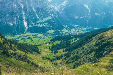 Yeşil çimenler ve dağ zirveleriyle yaz dağı manzarası. İsviçre Alpleri