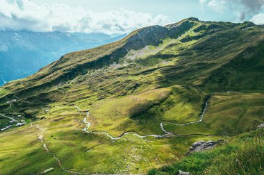 Yeşil çimenler ve dağ zirveleriyle yaz dağı manzarası. İsviçre Alpleri