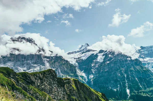 stock image Summer mountain landscape with green grass and mountain peaks. Swiss Alps