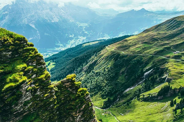 Літній Гірський Ландшафт Зеленою Травою Гірськими Вершинами Швейцарські Альпи — стокове фото