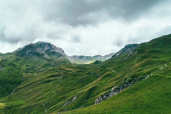 Verão Paisagem Montanha Com Grama Verde Picos Montanha Alpes Suíços — Fotografia de Stock