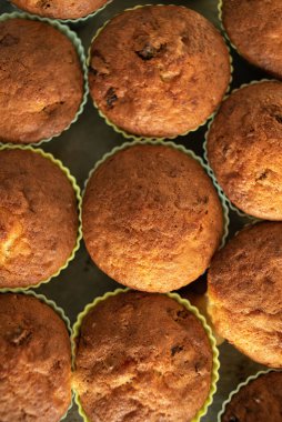 Silikon kalıplı tepside ev yapımı kekler. Kuru üzümlü ev yapımı kekler, yeni pişmiş kekler.
