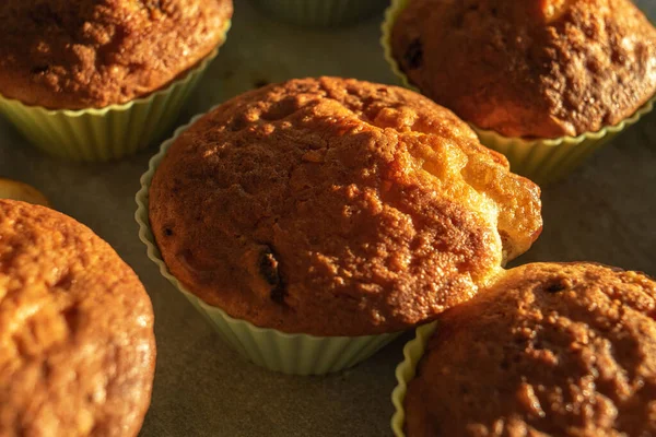 Hausgemachte Muffins Auf Einem Tablett Silikonformen Hausgemachte Cupcakes Mit Rosinen — Stockfoto