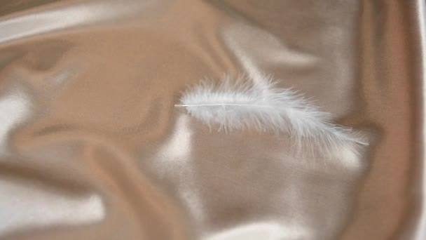 White Feathers Fall Champagne Colored Silk Fabric Background Video Falling — Stock Video