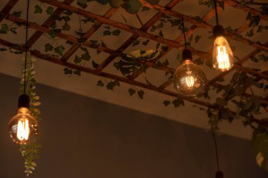 Bitkilerle süslenmiş ahşap örgüden yapılmış modern bir lamba. İç aydınlatmanın modern tasarımı