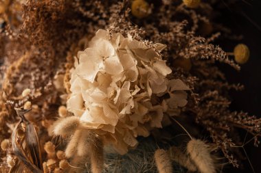 Duvardaki kurumuş çiçeklerin dekoru. Bir buket kurumuş çiçek. Çiçekçi minimalist iç mimari Boho tarzında. Boho tarzındaki şenlikli fotoğraf sahasının dekoru. Seçici odak, yakın plan