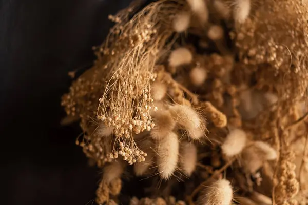 Decor of dried flowers on the wall. A bouquet of dried flowers. Floral minimalist home interior in boho style. The decor of the festive photo zone in the boho style. Selective focus, close-up