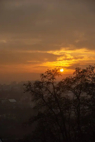 View of the city, the silhouette of trees at sunset. Winter sunset and haze over the city. Orange sky