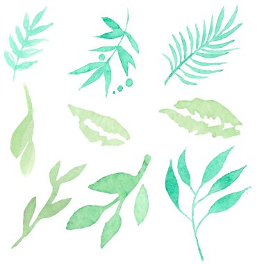 El çizimi suluboya çiçek elementleri