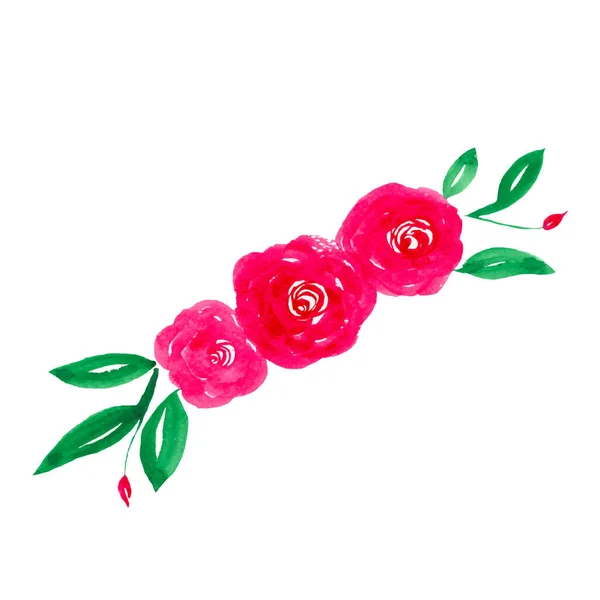 Pink Roses Leaves Branches Isolated White Background Watercolor Illustration — Stock Vector