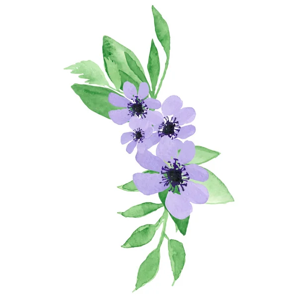 Acuarela Composición Floral Con Flores Silvestres Hojas Eucalipto — Vector de stock