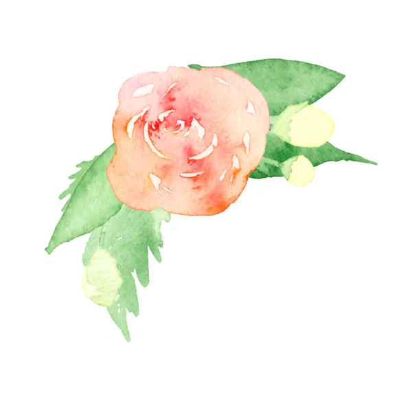 Akvarel Ilustrace Krásné Červené Růže Zelenými Listy Květy — Stockový vektor