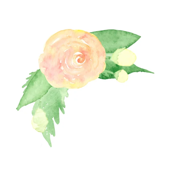 Όμορφα Ροζ Τριαντάφυλλα Πράσινα Φύλλα Που Απομονώνονται Λευκό Φόντο Διανυσματική — Διανυσματικό Αρχείο