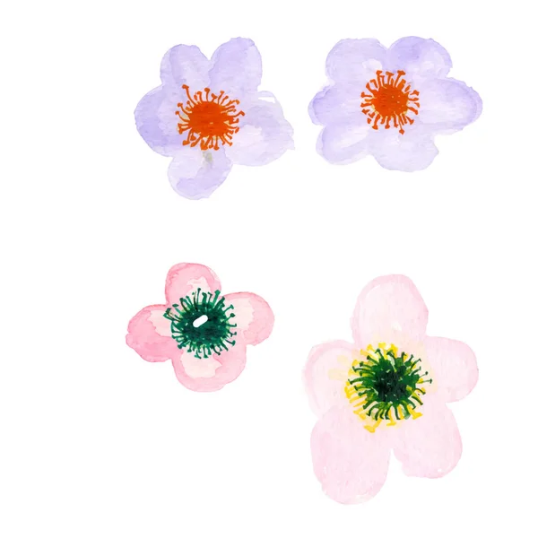 watercolor flowers with pink and yellow isolated on white