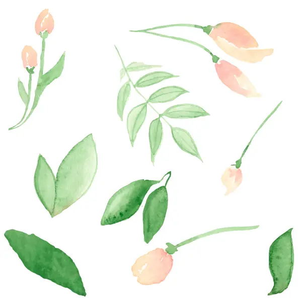 Florale Komposition Mit Handgezeichneten Blumen Aquarell Illustration Isoliert — Stockvektor