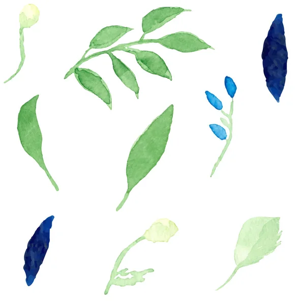 Hojas Verdes Dibujadas Mano Ilustración Botánica Conjunto — Vector de stock