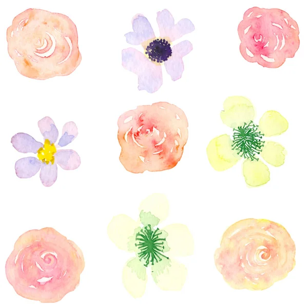 Set Vector Watercolor Illustration Hand Drawn Beautiful Spring Flowers — Stock Vector