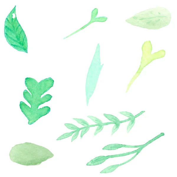 Aquarell Hand Aus Blättern Und Grünen Blüten Isoliert Auf Weißem — Stockvektor