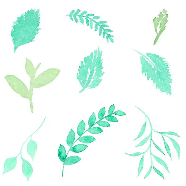 Aquarell Set Aus Grünen Blättern Handgezeichnete Elemente — Stockvektor