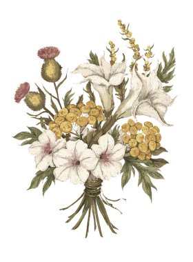 Harika Çiçekler İllüstrasyon Elementi 