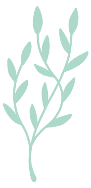 Zambak çiçekleri barış güvercini