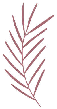 Zambak çiçekleri barış güvercini