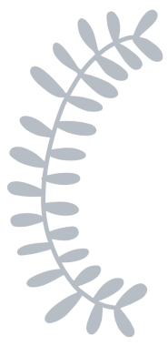 Zambak çiçekleri barış güvercini