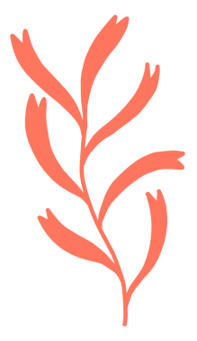 Zambak çiçekleri barış güvercini