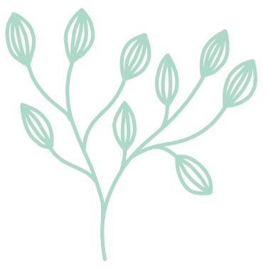 Zambak çiçekleri barış güvercini