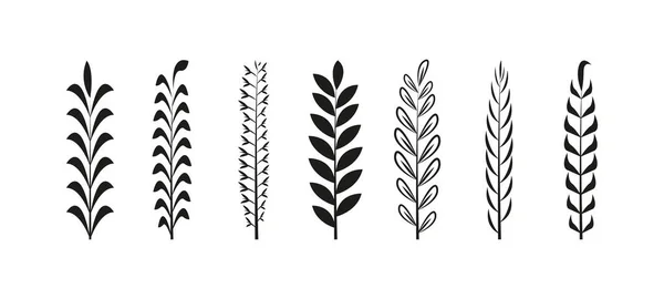 植物のスケッチ 任意の目的のための素晴らしいデザイン 手描きの花 葉や枝のセット — ストックベクタ