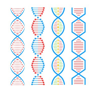 DNA yapısı simgesi ayarlandı. Yapı molekülü, hücre, kromozom. Genetik mühendisliği. Vektör stok illüstrasyonu.