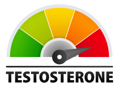 Testosterone level metering. Testosterone hormone speedometer, indicators