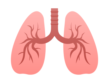 Ciğerleri düz. Vektör çizim simgesi. İzole vektör çizimi. Tıbbi simge