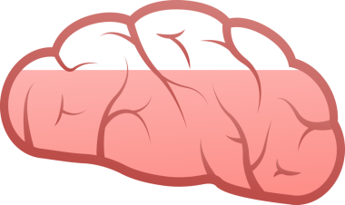 İnsan beyni tıbbı yükleniyor. İç organ. Sinirsel ağ. Beyin fırtınası fikri