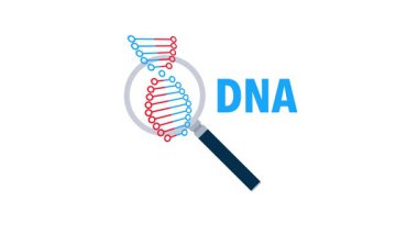Magnifying glass focusing on a DNA strand, isolated on white and green screen for chroma keying