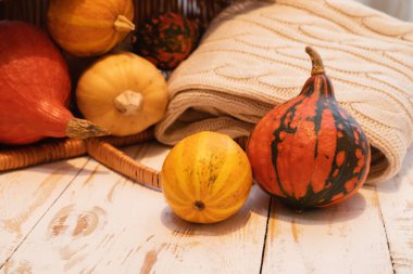 Kabaklar görünümü kapatın 