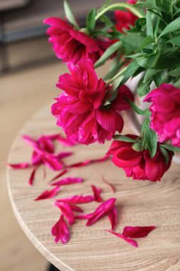 Pembe şakayıklar yakın görünüm