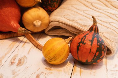 Kabaklar görünümü kapatın 