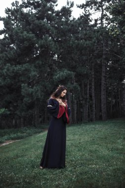 Güzel kara elf prensesi tarlada duruyor. Fantezi cadı..