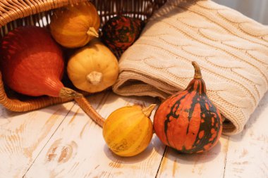 Kabaklar görünümü kapatın 