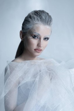 Kar Kraliçesi 'nin yakın plan portresi. Makyaj, güzel donmuş kadın.