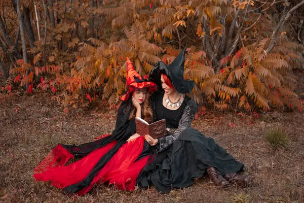 Dos Brujas Madre Hija Los Vestidos Negros Rojos Sombreros Puntiagudos —  Fotos de Stock