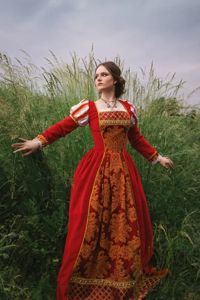 Портрет Фантазии Средневековой Принцессы Винтажном Красном Платье Женщина Поле Леди — стоковое фото